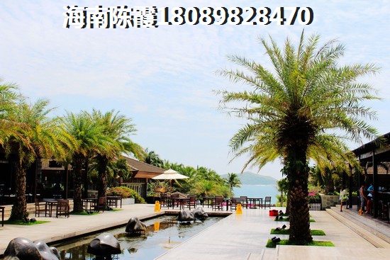 金御名城怎么样
